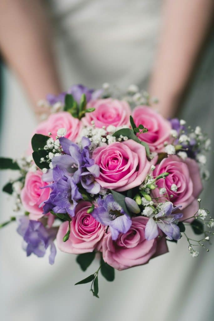 Roses
